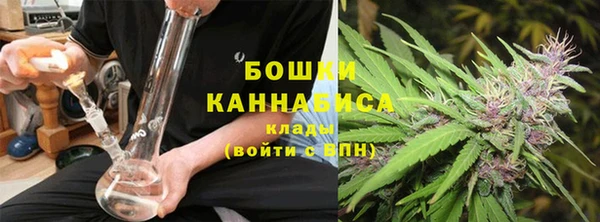 индика Хадыженск