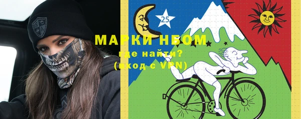 индика Хадыженск