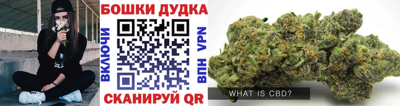 Купить закладки  Хадыженск  Каннабис семена 